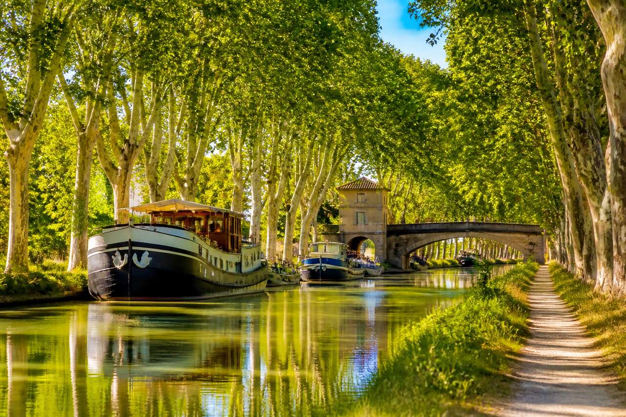 Canal du Midi : guide pour découvrir ce joyau du sud de la France